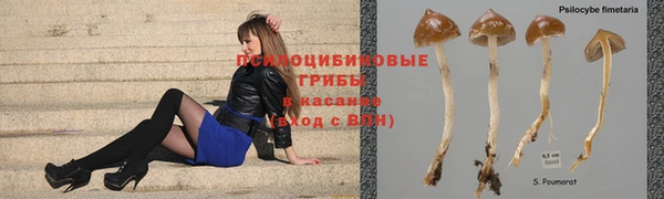 соль курить ск Магас