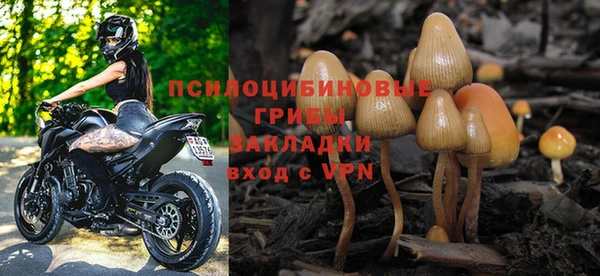 бошки Абаза