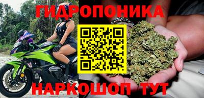 молекула духа Тверь