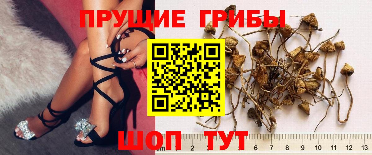 Галлюциногенные грибы MAGIC MUSHROOMS Серпухов