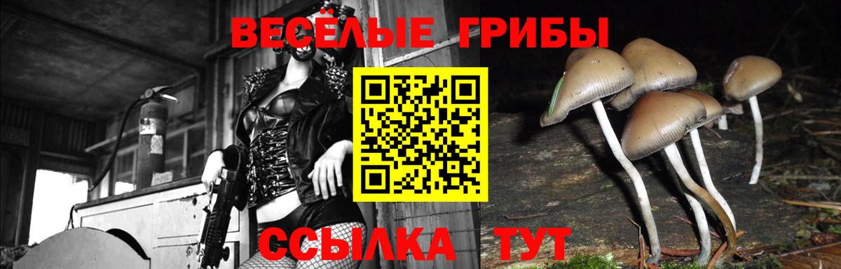Псилоцибиновые грибы прущие грибы  Вход с VPN  Галлюциногенные грибы мухоморы  Серпухов 